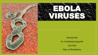 EBOLA
VIRUSES
Presented By
Dr. N.Sudarmani Gayathri
Asst.Prof
Dept. of Biochemistry
 