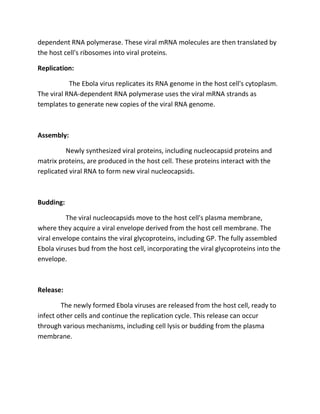 dependent RNA polymerase. These viral mRNA molecules are then translated by
the host cell's ribosomes into viral proteins.
Replication:
The Ebola virus replicates its RNA genome in the host cell's cytoplasm.
The viral RNA-dependent RNA polymerase uses the viral mRNA strands as
templates to generate new copies of the viral RNA genome.
Assembly:
Newly synthesized viral proteins, including nucleocapsid proteins and
matrix proteins, are produced in the host cell. These proteins interact with the
replicated viral RNA to form new viral nucleocapsids.
Budding:
The viral nucleocapsids move to the host cell's plasma membrane,
where they acquire a viral envelope derived from the host cell membrane. The
viral envelope contains the viral glycoproteins, including GP. The fully assembled
Ebola viruses bud from the host cell, incorporating the viral glycoproteins into the
envelope.
Release:
The newly formed Ebola viruses are released from the host cell, ready to
infect other cells and continue the replication cycle. This release can occur
through various mechanisms, including cell lysis or budding from the plasma
membrane.
 