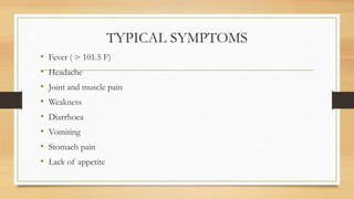 TYPICAL SYMPTOMS
• Fever ( > 101.5 F)
• Headache
• Joint and muscle pain
• Weakness
• Diarrhoea
• Vomiting
• Stomach pain
• Lack of appetite
 