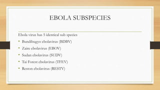 EBOLA SUBSPECIES
Ebola virus has 5 identical sub species
• Bundibugyo ebolavirus (BDBV)
• Zaire ebolavirus (EBOV)
• Sudan ebolavirus (SUDV)
• Tai Forest ebolavirus (TFEV)
• Reston ebolavirus (RESTV)
 