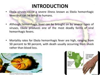 INTRODUCTION
• Ebola viruses cause a severe illness known as Ebola hemorrhagic
fever that can be lethal to humans.
• Although hemorrhagic fever can be brought on by several types of
viruses, Ebola produces one of the most deadly forms of viral
hemorrhagic fevers.
• Mortality rates for Ebola hemorrhagic fever are high, ranging from
50 percent to 90 percent, with death usually occurring from shock
rather than blood loss.
 