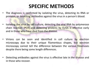 • The diagnosis is confirmed by isolating the virus, detecting its RNA or
proteins, or detecting antibodies against the virus in a person's blood.
• Isolating the virus by cell culture, detecting the viral RNA by polymerase
chain reaction (PCR) and detecting proteins by ELISA is effective early
and in those who have died from the disease.
• Virions can be seen and identified in cell culture by electron
microscopy due to their unique filamentous shapes, but electron
microscopy cannot tell the difference between the various filoviruses
despite there being some length differences.
• Detecting antibodies against the virus is effective late in the disease and
in those who recover.
SPECIFIC METHODS
 