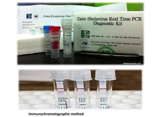 Immunochromatographic method
 