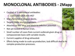 MONOCLONAL ANTIBODIES - ZMapp
• Cocktail of 3 monoclonal antibodies:
– c13C6 and c2G4 and c4G7
• Manufactured in tobacco plants.
• Targets Ebola virus glycoprotein.
• Attaches to the virus and block its infective potential.
• Not yet tested in human trials.
• Small number of cases from current outbreak given drug on
compassionate basis with variable results.
• Current supplies of drug exhausted.
• Efforts being made to scale up production, task difficult due to its
complex production processes.
 