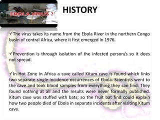 HISTORY
The virus takes its name from the Ebola River in the northern Congo
basin of central Africa, where it first emerged in 1976.
Prevention is through isolation of the infected person/s so it does
not spread.
In Hot Zone in Africa a cave called Kitum cave is found which links
two separate single-incidence occurrences of Ebola. Scientists went to
the cave and took blood samples from everything they can find. They
found nothing at all and the results were never formally published.
Kitum cave was stuffed with bats; so the fruit bat find could explain
how two people died of Ebola in separate incidents after visiting Kitum
cave.
 