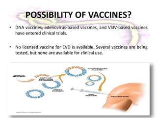 • DNA vaccines, adenovirus-based vaccines, and VSIV-based vaccines
have entered clinical trials.
• No licensed vaccine for EVD is available. Several vaccines are being
tested, but none are available for clinical use.
POSSIBILITY OF VACCINES?
 