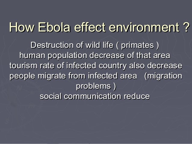 the origins history and impact of the ebola virus Will the ebola virus ever be eradicated from west africa the question that keeps lingering in my mind yet no answer is: how did ebola entered into gueckedou, guinea. the origins history and impact of the ebola virus Will the ebola virus ever be eradicated from west africa the question that keeps lingering in my mind yet no answer is: how did ebola entered into gueckedou, guinea.