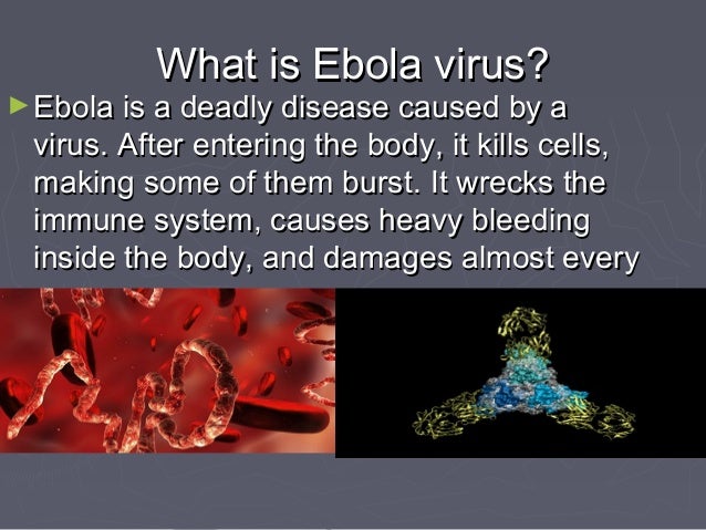 the origins history and impact of the ebola virus With more than 1,300 reported deaths from ebola in west africa, the virus continues to be an urgent health crisis, but it is also having a devastating impact on the economies of guinea, liberia . the origins history and impact of the ebola virus With more than 1,300 reported deaths from ebola in west africa, the virus continues to be an urgent health crisis, but it is also having a devastating impact on the economies of guinea, liberia .