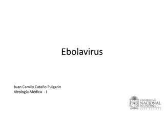Ebolavirus

Juan Camilo Cataño Pulgarin
Virología Médica - I

 