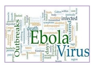 Ebola virus main