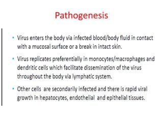 Pathogenesis 
 