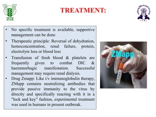 Zmapp Marburg and Ebola viruses | PPTX