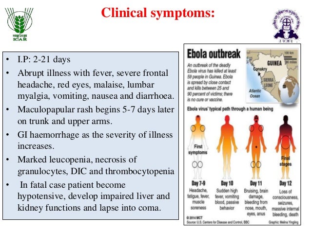 Marburg And Ebola Viruses