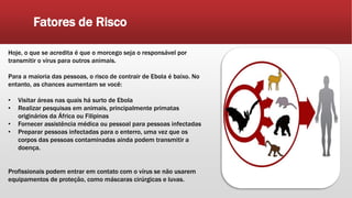 Fatores de Risco
Hoje, o que se acredita é que o morcego seja o responsável por
transmitir o vírus para outros animais.
Para a maioria das pessoas, o risco de contrair de Ebola é baixo. No
entanto, as chances aumentam se você:
• Visitar áreas nas quais há surto de Ebola
• Realizar pesquisas em animais, principalmente primatas
originários da África ou Filipinas
• Fornecer assistência médica ou pessoal para pessoas infectadas
• Preparar pessoas infectadas para o enterro, uma vez que os
corpos das pessoas contaminadas ainda podem transmitir a
doença.
Profissionais podem entrar em contato com o vírus se não usarem
equipamentos de proteção, como máscaras cirúrgicas e luvas.
 