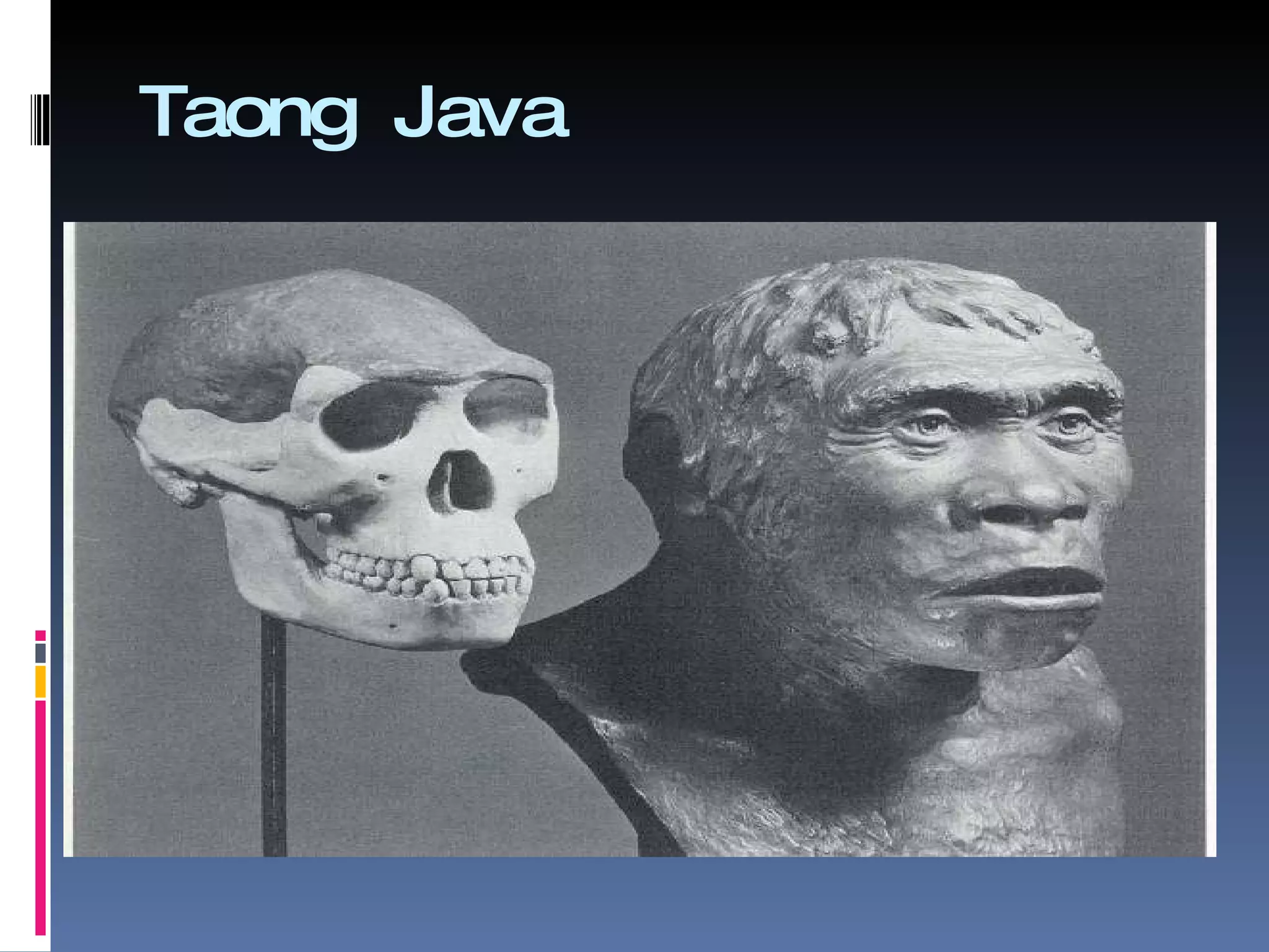 Ebolusyong Kultural (Converted) | PPT