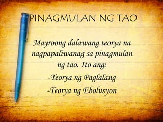 PINAGMULAN NG TAO 
Mayroong dalawang teorya na 
nagpapaliwanag sa pinagmulan 
ng tao. Ito ang: 
-Teorya ng Paglalang 
-Teorya ng Ebolusyon 
 