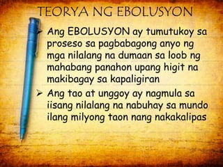 TEORYA NG EBOLUSYON 
 Ang EBOLUSYON ay tumutukoy sa 
proseso sa pagbabagong anyo ng 
mga nilalang na dumaan sa loob ng 
mahabang panahon upang higit na 
makibagay sa kapaligiran 
 Ang tao at unggoy ay nagmula sa 
iisang nilalang na nabuhay sa mundo 
ilang milyong taon nang nakakalipas 
 