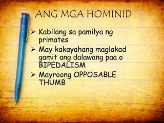ANG MGA HOMINID 
 Kabilang sa pamilya ng 
primates 
 May kakayahang maglakad 
gamit ang dalawang paa o 
BIPEDALISM 
 Mayroong OPPOSABLE 
THUMB 
 