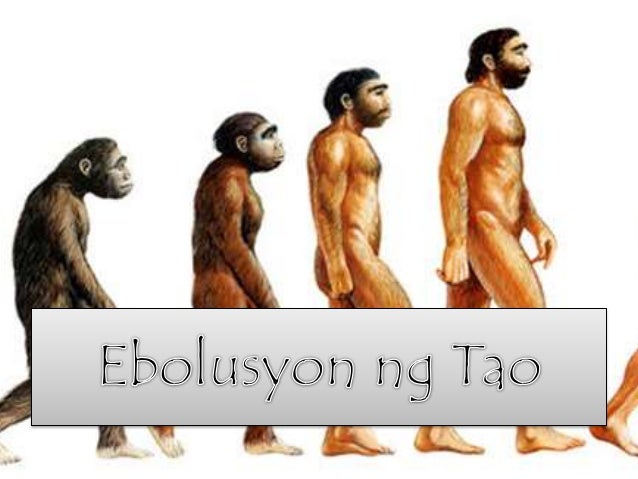 teorya ng pinagmulan ng mga unang tao sa pilipinas Tungkul sa teory hinggil sa pinagmulan ng mga pilipino. teorya ng pinagmulan ng mga unang tao sa pilipinas Tungkul sa teory hinggil sa pinagmulan ng mga pilipino.