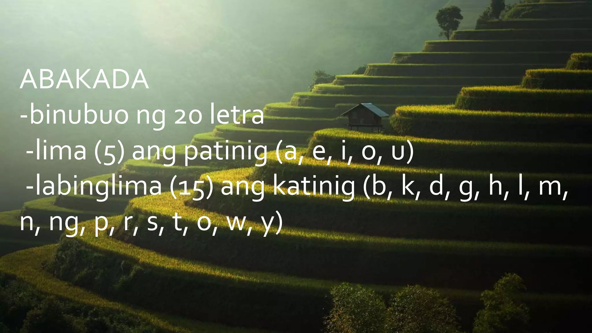 Ebolusyon ng wika ang wika sa bawat panahon panahon ng espanyol | PPTX