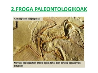 2.FROGA PALEONTOLOGIKOAK
Archeopterix litographica




Narrasti eta hegaztien arteko aitzindaria: bien tarteko ezaugarriak
dituenak
 