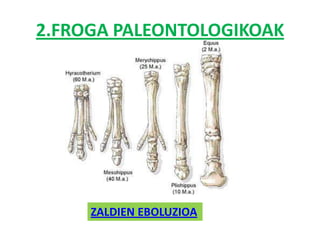 2.FROGA PALEONTOLOGIKOAK




     ZALDIEN EBOLUZIOA
 