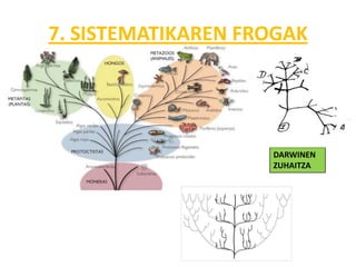 7. SISTEMATIKAREN FROGAK




                    DARWINEN
                    ZUHAITZA
 
