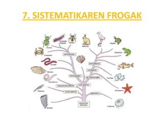 7. SISTEMATIKAREN FROGAK
 