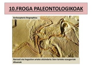 10.FROGA PALEONTOLOGIKOAK
Archeopterix litographica
Narrasti eta hegaztien arteko aitzindaria: bien tarteko ezaugarriak
dituenak
 