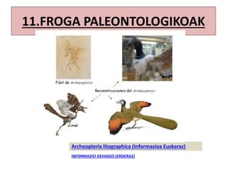 11.FROGA PALEONTOLOGIKOAK
Archeopterix litographica (Informazioa Euskaraz)
INFORMAZIO GEHIAGO (ERDERAZ)
 