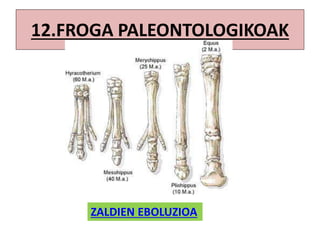 12.FROGA PALEONTOLOGIKOAK
ZALDIEN EBOLUZIOA
 