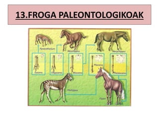 13.FROGA PALEONTOLOGIKOAK
 