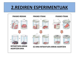 2.REDIREN ESPERIMENTUAK
 