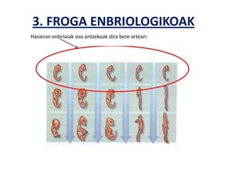 3. FROGA ENBRIOLOGIKOAK
Hasieran enbrioiak oso antzekoak dira bere artean:
 