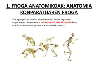 1. FROGA ANATOMIKOAK: ANATOMIA
      KONPARATUAREN FROGA
 Gaur egungo izaki bizidun ezberdinen edo fosilen organoen
 konparaketan oinarritzen da. ANATOMIA KONPARATUAREN bidez
 espezie ezberdinen organoen arteko aldea ikusten da.
 