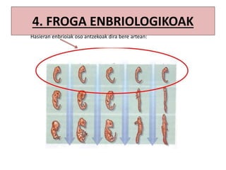 4. FROGA ENBRIOLOGIKOAK
Hasieran enbrioiak oso antzekoak dira bere artean:
 