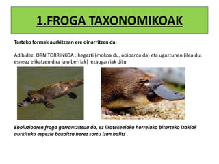 1.FROGA TAXONOMIKOAK
Tarteko formak aurkitzean ere oinarritzen da:
Adibidez, ORNITORRINKOA : hegazti (mokoa du, obiparoa da) eta ugaztunen (ilea du,
esneaz elikatzen dira jaio berriak) ezaugarriak ditu
Eboluzioaren froga garrantzitsua da, ez liratekeelako horrelako bitarteko izakiak
aurkituko espezie bakoitza berez sortu izan balitz .
 