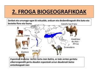 2. FROGA BIOGEOGRAFIKOAK
Zenbat eta urrunago egon bi eskualde, orduan eta desberdinagoak dira bata eta
besteko flora eta fauna.
Espezieak kreazioz bereiz sortu izan balira, ez luke zertan gertatu
elkarrengandik gertu dauden espezieak urrun daudenak baino
antzekoagoak izan
 
