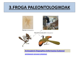 3.FROGA PALEONTOLOGIKOAK
Archeopterix litographica (Informazioa Euskaraz)
INFORMAZIO GEHIAGO (ERDERAZ)
 