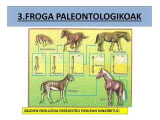 3.FROGA PALEONTOLOGIKOAK
ZALDIEN EBOLUZIOA ERREGISTRO FOSILEAN OINARRITUZ:
 