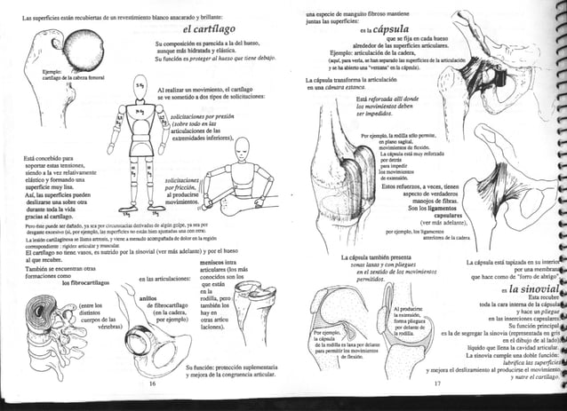 [E book.sport] anatomía para el movimiento. tomo 1. introducción al