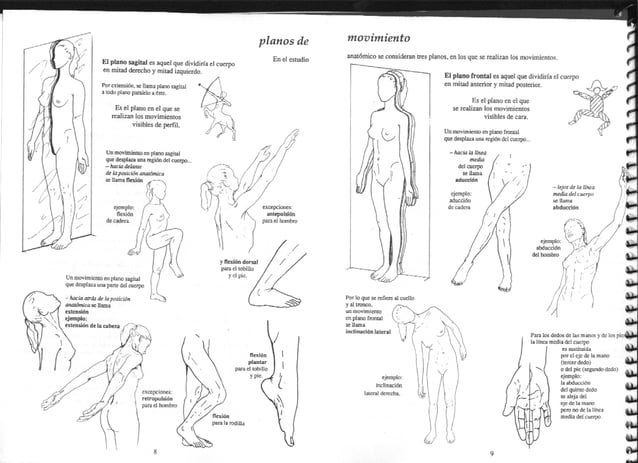 [E book.sport] anatomía para el movimiento. tomo 1. introducción al