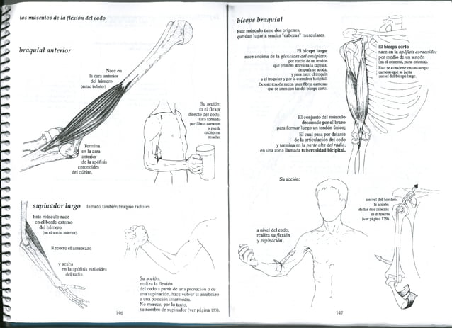 [E book.sport] anatomía para el movimiento. tomo 1. introducción al