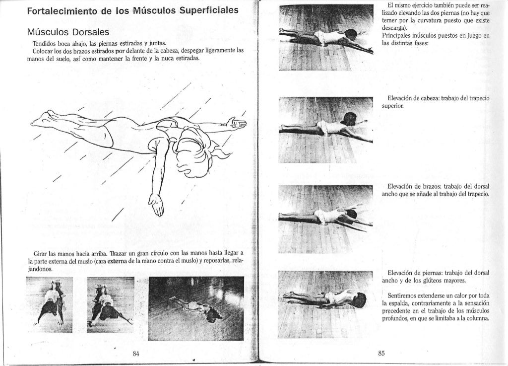 [E book.sport] anatomia para el movimiento. tomo 2 bases de ejercicios