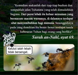 E book dak ipan