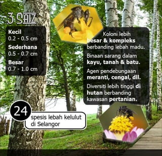 E book dak ipan