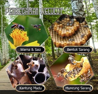 E book dak ipan