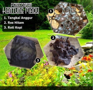 E book dak ipan