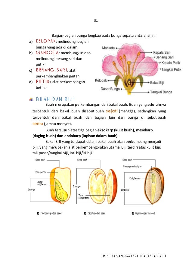 Ebook ringkasan ipa smp kelas viii