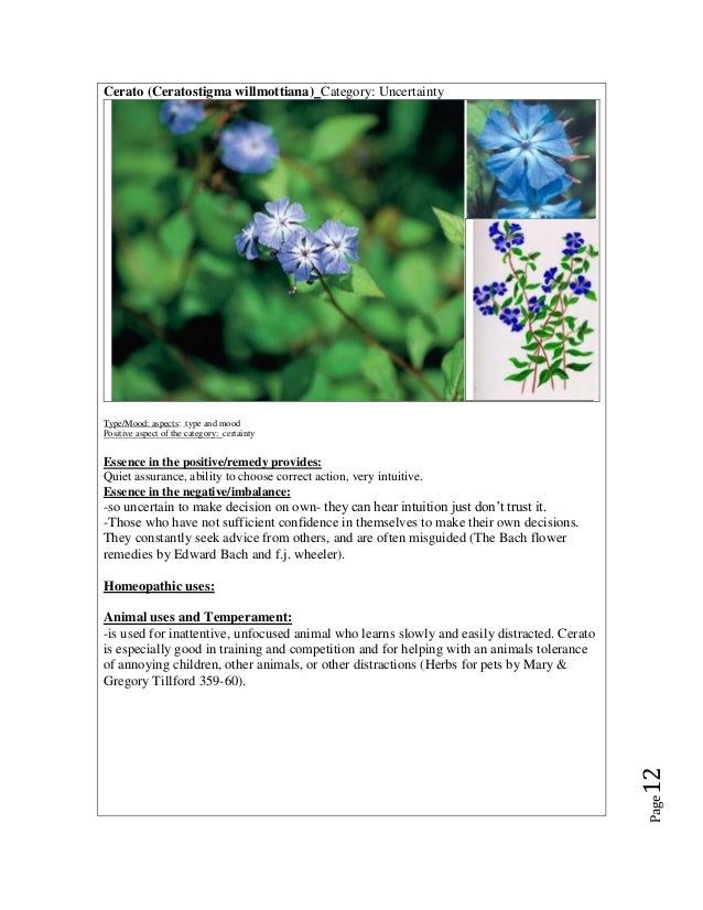 E book 38 bach flower essences a beginners guide to using the flow…